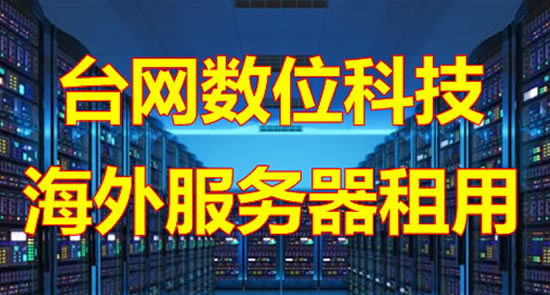 新加坡服务器 海外服务器 CN2 GIA 高速境外服务器